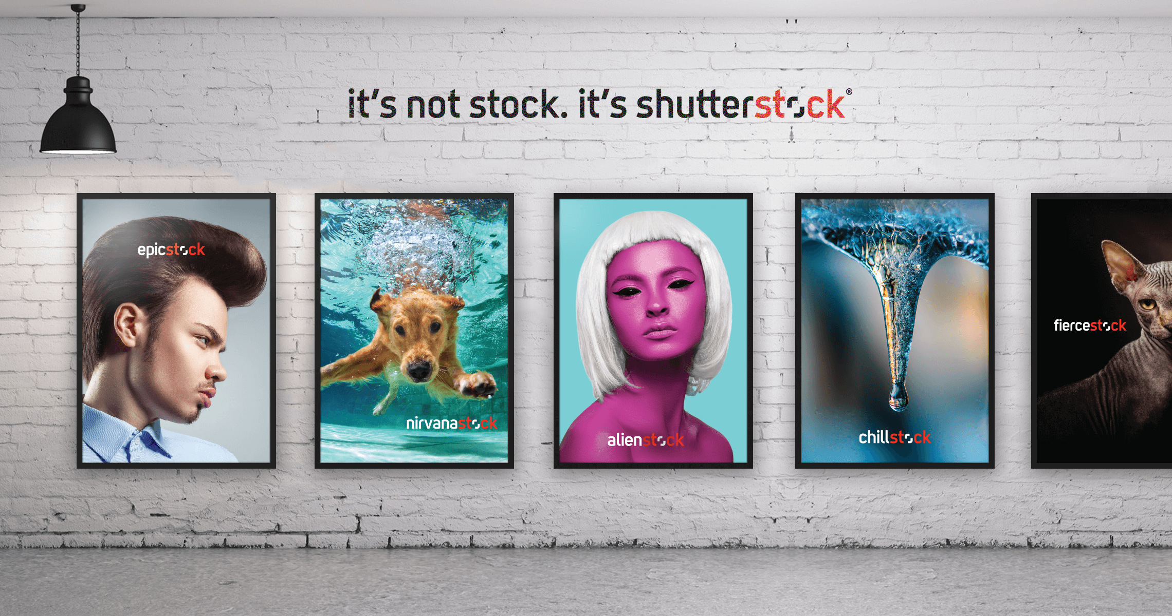 It's not stock. It's Shutterstock.