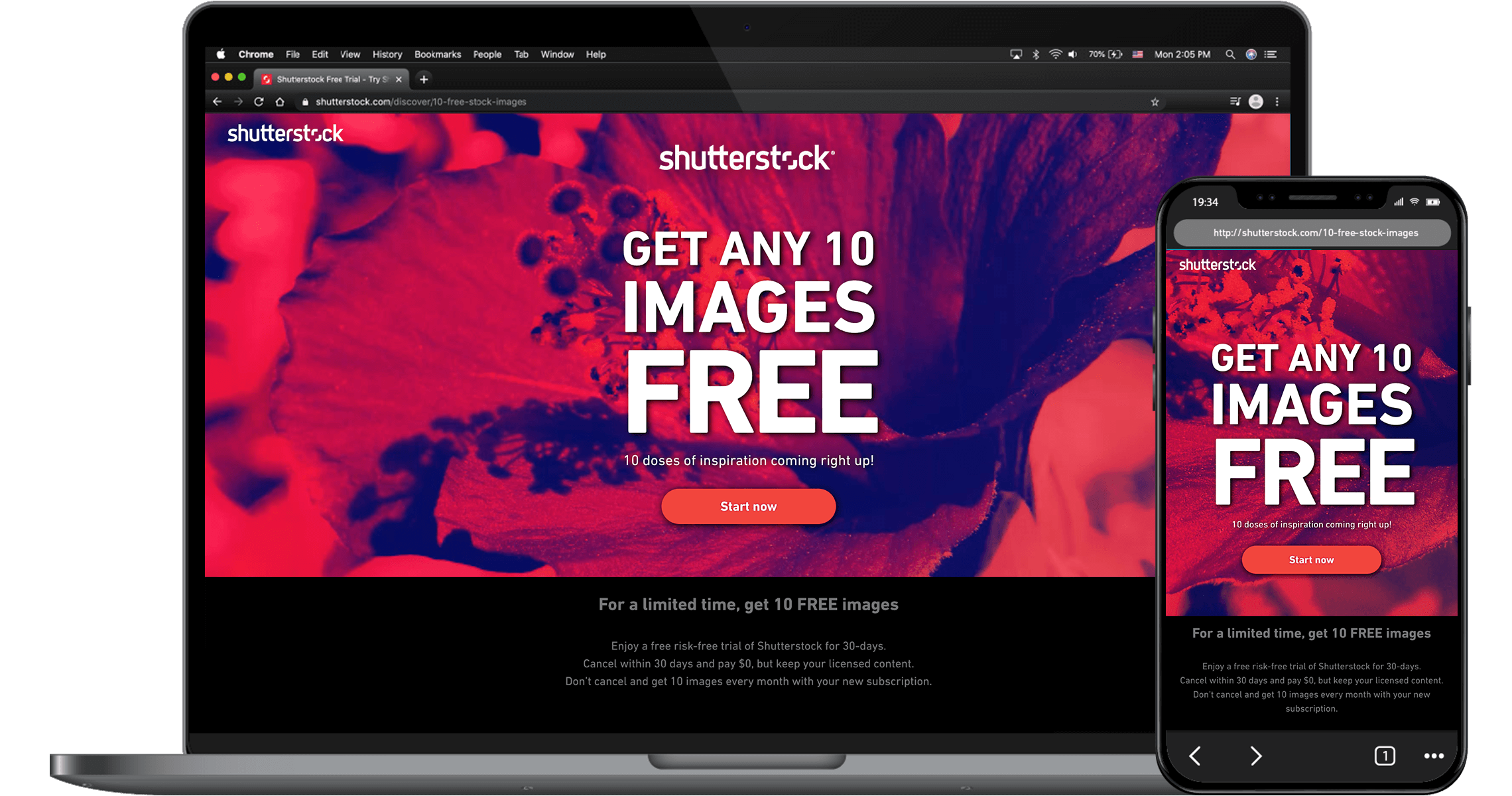Shutterstock conversion optimization